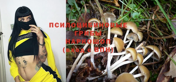 тгк Богородицк