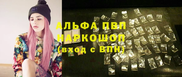 спайс Богданович